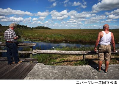 世界遺産のエバーグレーズ国立公園